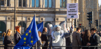 Uk brexit mess