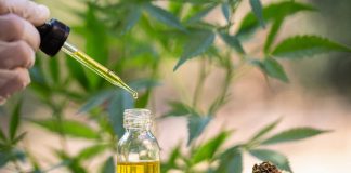 CBD Oil: A Frontier Market Investors Should Now Ignore