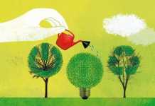 Simple Things Homeowners Can Do to Help Avert a Climate Crisis