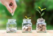5 Great Tips to Help you Manage your Money