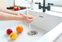 Is It Worth It To Spend Money On Garbage Disposal?
