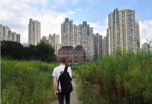 6 Best Guidelines in Finding Yourself an Ideal House