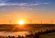 Why Investing in Renewable Energy is Safe Business