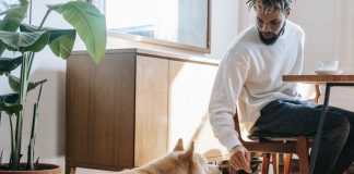 UK Law Update – Living With a Cat or Dog at Home – Things to Consider as a Tenant?