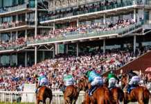 sports betting