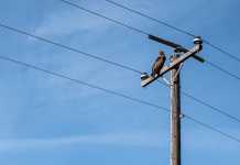 How To Save Money On Your Gas And Electric Bills?