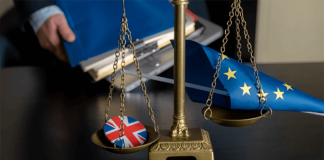 European Union Flag