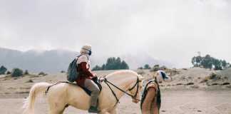 Top 5 Horse TV Series horse racing