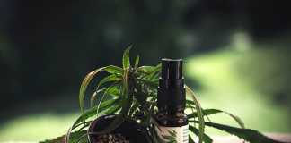 CBD