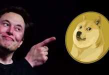 elon musk dogecoin
