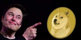 elon musk dogecoin