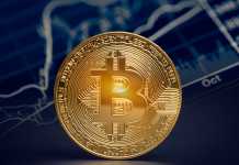 What Makes Bitcoin A Popular Cryptocurrency? Bitcoin Cryptocurrency