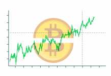 The Importance of Bitcoin Mining and Halving Events bitcoin halving
