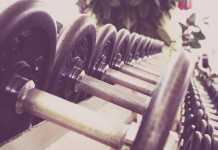 5 Best Herbs That Will Uplift Your Gym Game Instantly