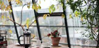 coffee shop