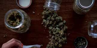 How Big Is the Cannabis Oil Market in the World? cannabis oil market