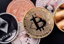 There Are Other Important Cryptocurrencies Besides Bitcoin You Should Know About it (2021)