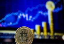 Bitcoin's Price