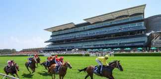 Horse racing