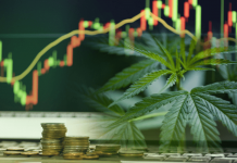 Three Reasons Marijuana Stocks Are Hot Right Now Marijuana Stocks