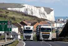 Brazilian Exports to UK and EU Return to Pre-Pandemic Levels in Q2 2021 Brazilian Exports to UK and EU