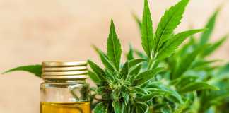 cannabidiol