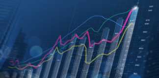 business growth