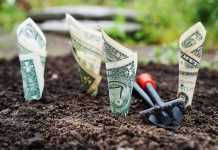 Wealth Creation – It’s More Important Than Ever Before Wealth Creation