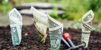 Wealth Creation