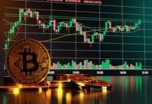 Is It An Actual Thing That Bitcoin Trading Is Termed As Worthy Trading As Compared To Other Alternatives? Bitcoin Trading