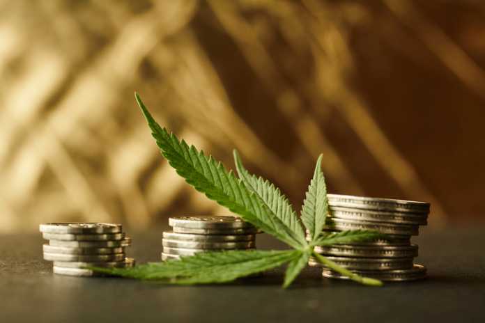 Cannabis Business
