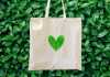 Go Green or Go Home: Rising Sustainability Brands on the Horizon Sustainable brands