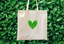 Go Green or Go Home: Rising Sustainability Brands on the Horizon Sustainable brands