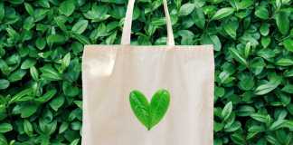Sustainable brands