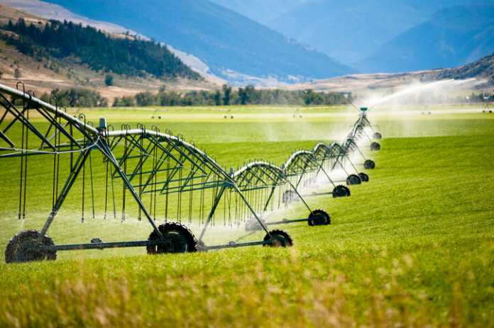 water agriculture