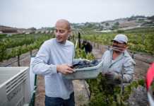 Useful Pieces Of Advice For Farm Workers To Protect Their Rights farmers