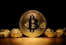 Bitcoin Cryptocurrency
