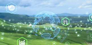Low Carbon - Sustainability
