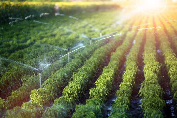 Agriculture
