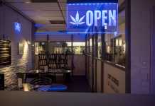 How Tourists Can Buy Marijuana in Santa Ana California