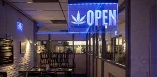 How Tourists Can Buy Marijuana in Santa Ana California How Tourists Can Buy Marijuana in Santa Ana California