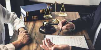 Legal Career