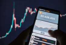 Popular Types of Cryptocurrency Wallets You Should Know! Cryptocurrency Wallet