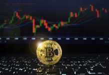 Here are some Great Plus Points of Trading Bitcoin! Trading Bitcoin