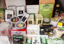 cannabis