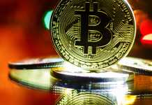 Bitcoin Week Called by El Salvador Draws Crypto Enthusiasts to Party and Preach. Bitcoin