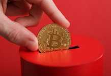 Necessary Contribution By Business People In Bitcoin Contribution to Bitcoin