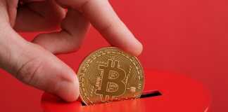 Contribution to Bitcoin