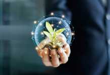 Business growth