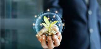 Business growth